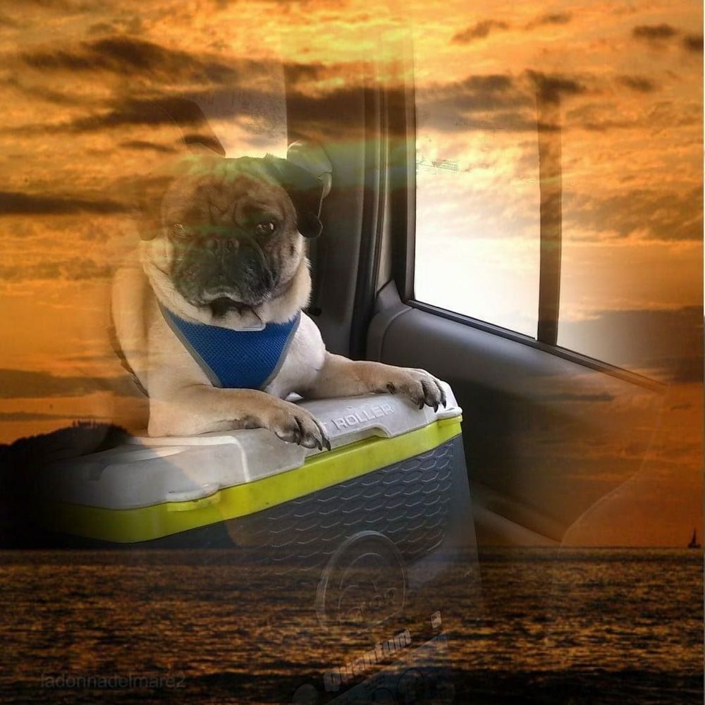 Meet your Posher, Duane